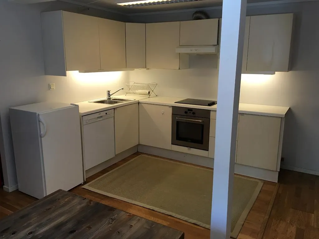 Bergen City Apartment Nhh Norway